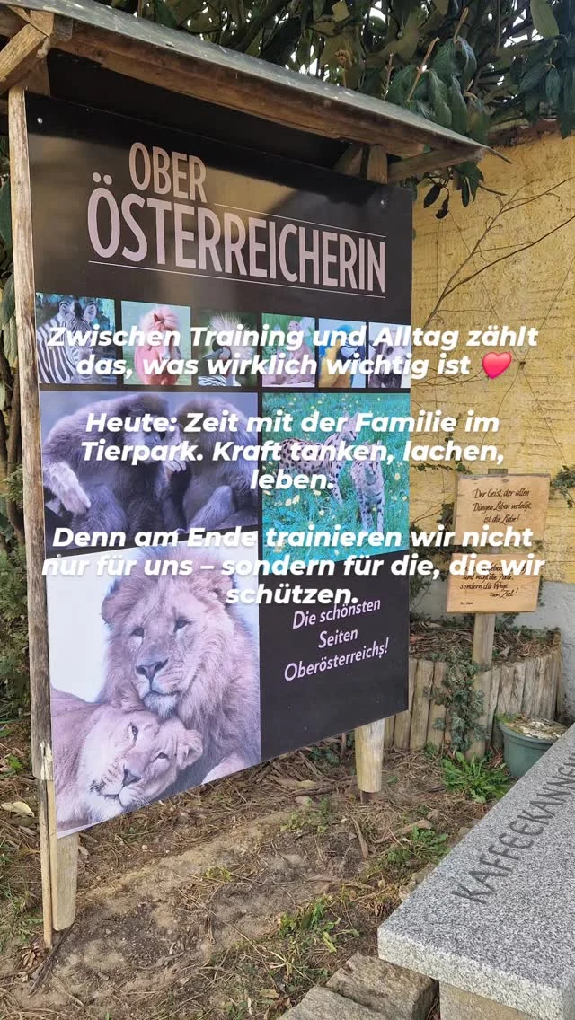 Instagram-Beitrag 18004112468714253